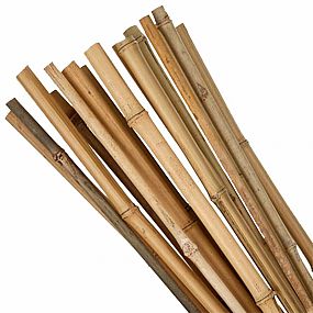 Tyč bambusová Garden KBT 1200/10-12mm, 10ks